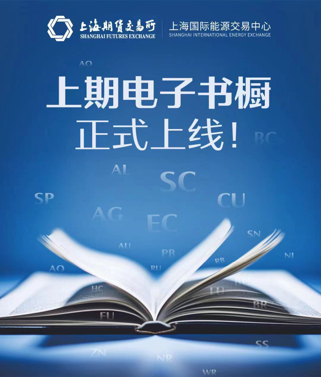 亚盟体育